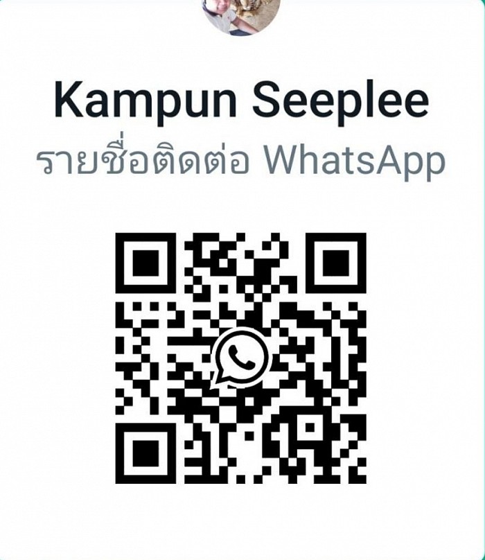 Scan WhatsApp